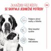 Royal Canin Giant Starter M&B 15kg
