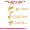 Royal Canin Persian Adult 10kg