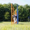 AGILITY Slalom dla psa, zabawka trenigowa