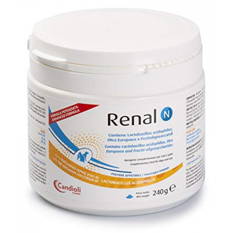 Renal N plv 240g