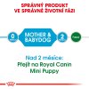 Royal Canin Mini Starter 1kg