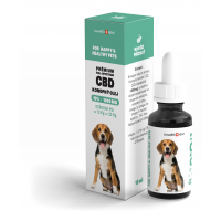 Olej CBD dla średnich psów 10%, 10ml