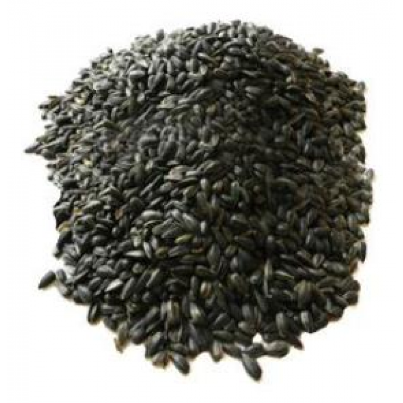 Słonecznik czarny 5kg