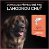 PRO PLAN LARGE ADULT Robust SENSITIVE SKIN łosoś 14 kg