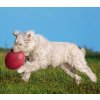 Frisbee Doggy Disc MINI 15cm TRIXIE