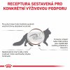 Royal Canin VHN Cat Gastrointestinal 2kg