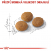 Royal Canin Aromatic Exigent 10kg
