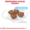 Royal Canin Mini Starter 1kg
