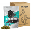 Geloren HA - jabłko 1350g (3 torebki po 450g)