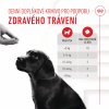 Royal Canin Immunity & Digestion Puppy Supplements 100g
