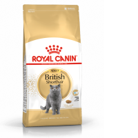 Royal Canin British Shorthair Adult 10kg