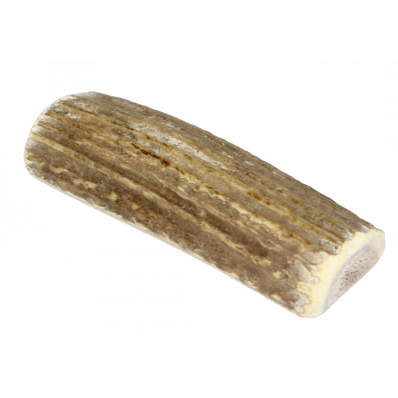 Marp Holistic - Pół poroża jelenia M (50 - 80g)
