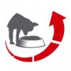 Royal Canin Chihuahua Adult 3 kg