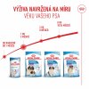 Royal Canin Giant Starter M&B 15kg