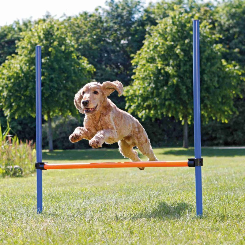 AGILITY przeszkody 3 belki 129x115cm