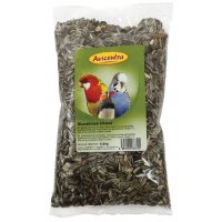 Avicentra Słonecznik pręgowany 500g