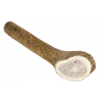 Marp Holistic - Poroże jelenia całe L (120 - 160g)