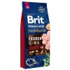 Brit Premium by Nature Senior L + XL 15kg