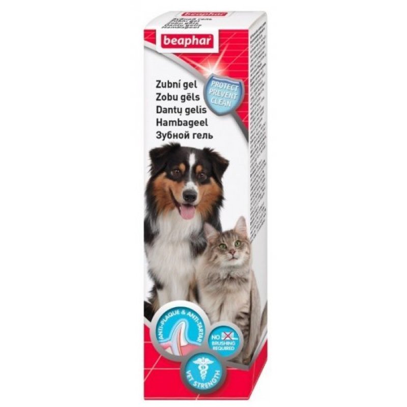 Beaphar żel do zębów z aplikatorem dla psów 100ml