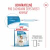 Royal Canin Mini Starter 1kg