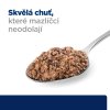 WET "BIG BOOST": Hill's PD z/d Alergie i pielęgnacja skóry psów 370 g