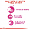 Royal Canin Aromatic Exigent 10kg