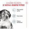 Royal Canin Medium Puppy/Junior 4kg