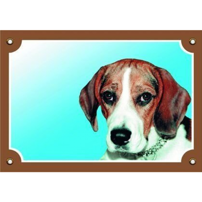 Kolorowy znak Uważaj, psie, Beagle (tekst w języku czeskim)