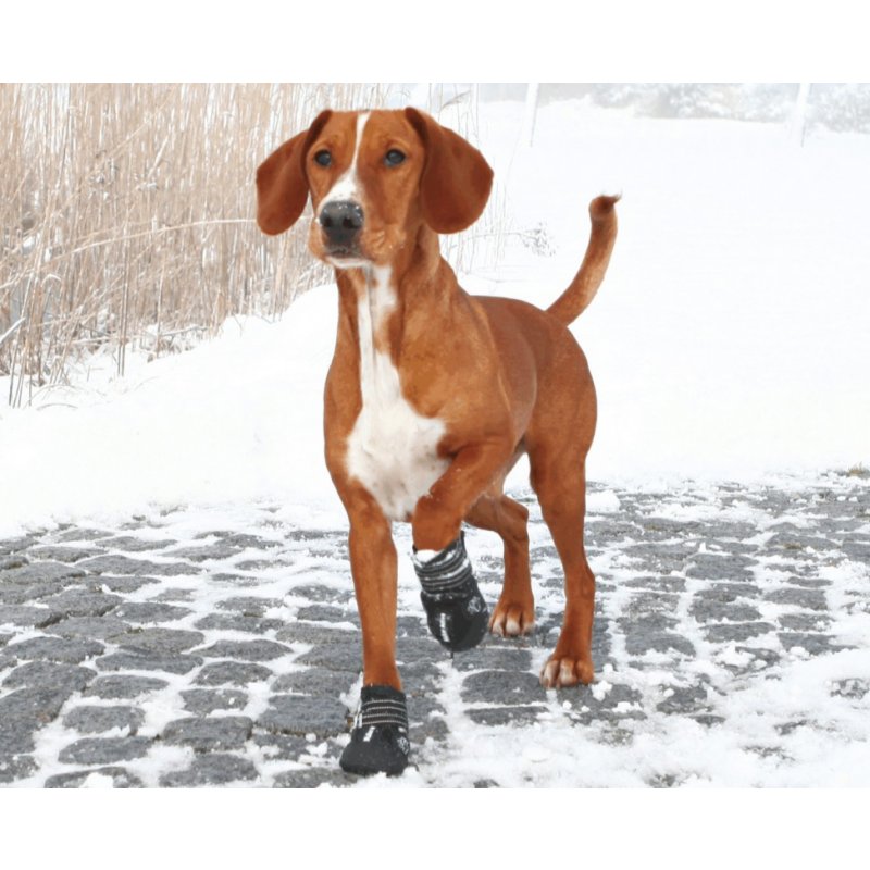 Trzewiki ochronne neoprenowe Walker Active Trixie M / L (2szt)