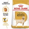 2x Royal Canin Labrador Retriever Adult 12kg