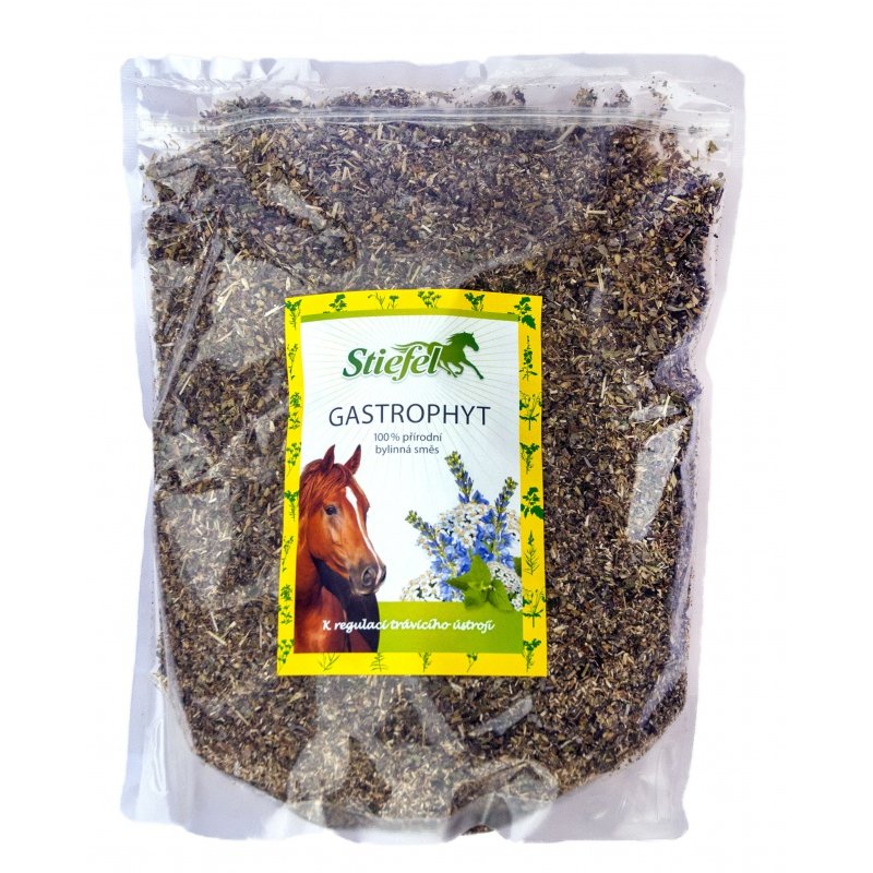 Gastrophyt