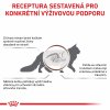 oyal Canin VHN CAT GASTROINTESTINAL FIBRE RESPONSE GRAVY saszetki 12 x 85 g