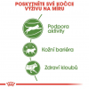 Royal canin Outdoor 10kg