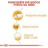 Royal Canin Maine Coon Adult 10kg