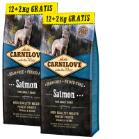 2x Carnilove Dog Salmon for Adult 12kg + 4 kg GRATIS