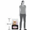 PRO PLAN CAT ADULT DELICATE DIGESTION indyk 10 kg