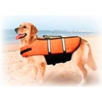 Kamizelka pływacka Karlie Dog XS 25cm pomarańczowa