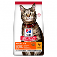 800x800_hills-feline_sp.png