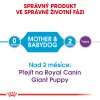 Royal Canin Giant Starter M&B 15kg
