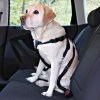 Samochodowe szelki bezpieczeństwa dla psa M Trixie Safety