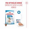 Royal Canin Mini Starter 1kg