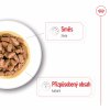 Royal Canin Mini Ageing 12+ 12 x 85g