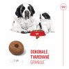 Royal Canin Giant Starter M&B 15kg