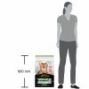 PRO PLAN CAT ADULT STERILISED RENAL PLUS łosoś 10 kg
