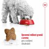 Royal Canin Mini Adult 8kg