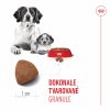 Royal Canin Medium Starter 1kg
