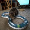 Tor górski CATIT z piłką dla plastikowych kotów