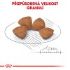 Royal Canin X-Small Puppy 1,5 kg