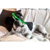 Obroża świecąca DOG FANTASY USB zielona 45 cm