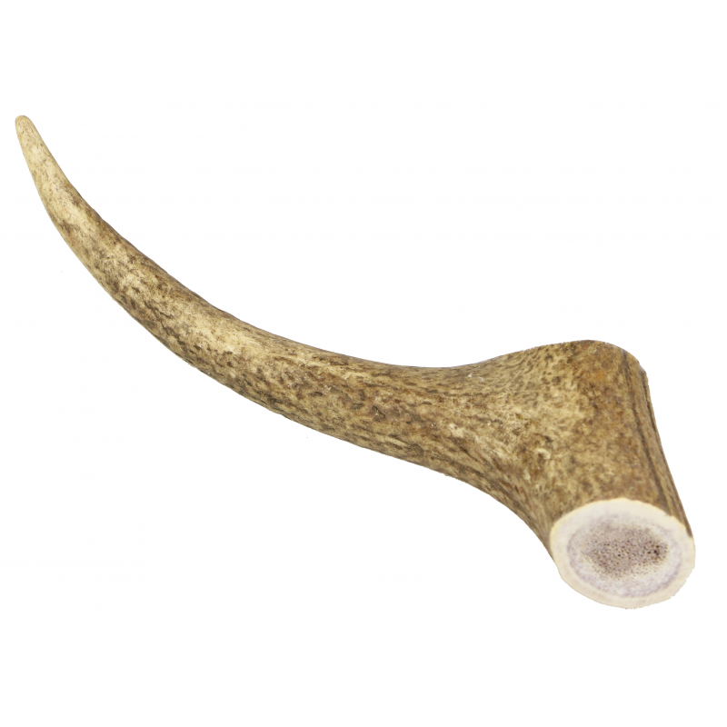 Marp Holistic - Poroże jelenia całe XL (160-200g)